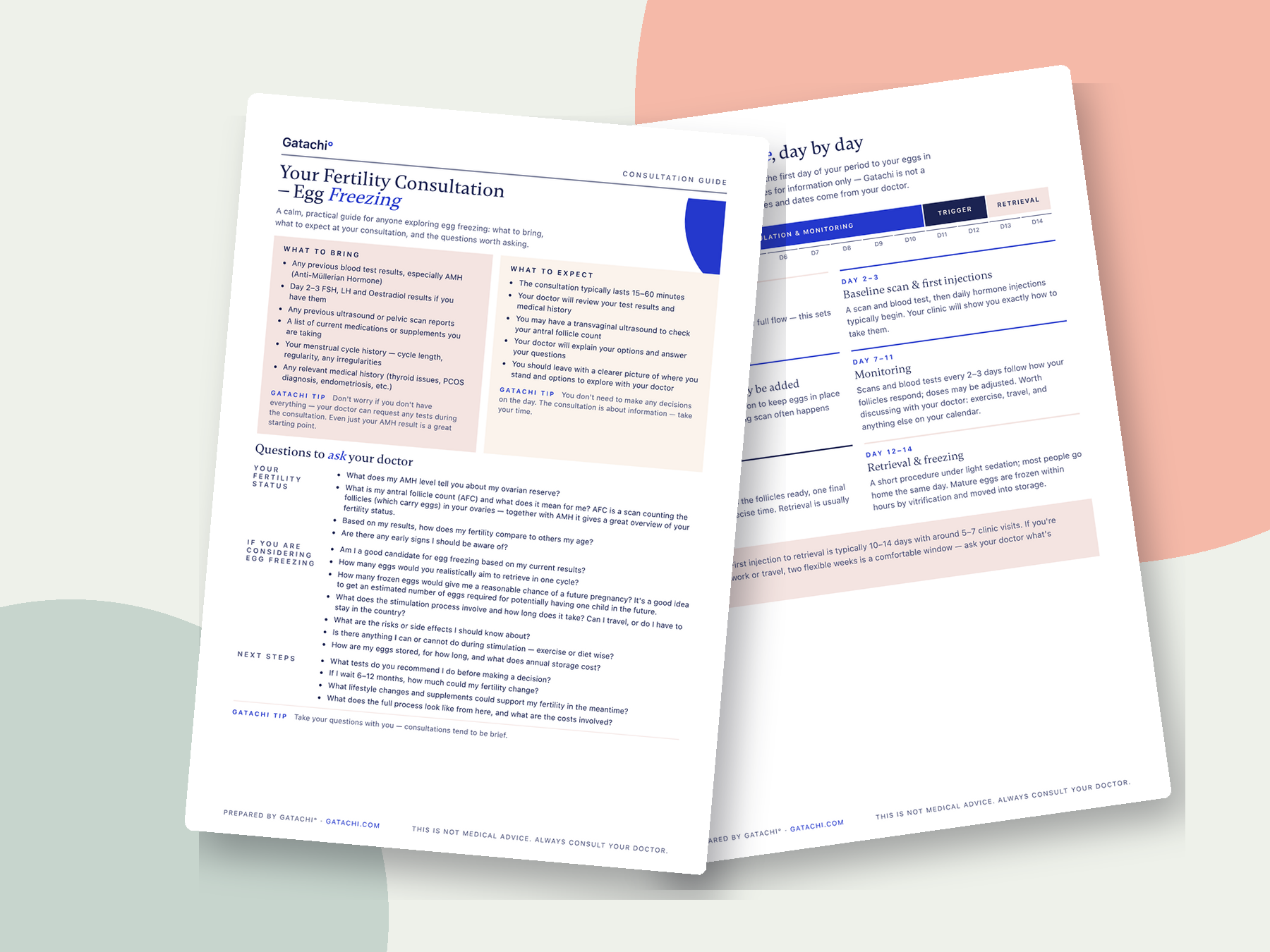 Two pages of the Gatachi Egg Freezing Consultation Guide